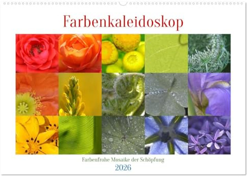 Farbenkaleidoskop (Wandkalender 2026 DIN A2 quer), CALVENDO Monatskalender: Farbenfrohe Mosaike der Schöpfung (CALVENDO Kunst)