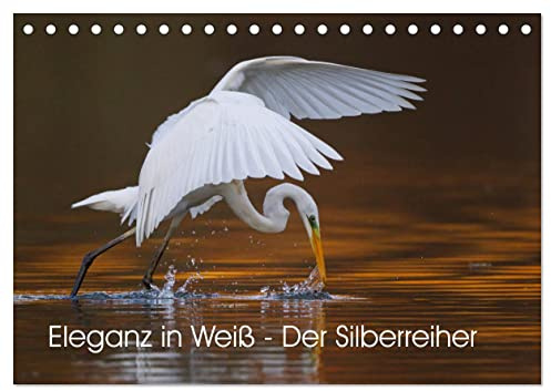 Eleganz in Weiß - Der Silberreiher (Tischkalender 2026 DIN A5 quer), CALVENDO Monatskalender: Faszinierende Momentaufnahmen eines eleganten Fischjägers (CALVENDO Tiere)