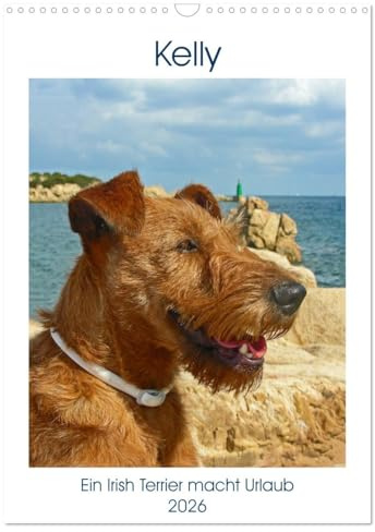 Kelly - Ein Irish Terrier macht Urlaub (Wandkalender 2026 DIN A3 hoch), CALVENDO Monatskalender: Reisen mit Kelly - alles ist möglich (CALVENDO Tiere)