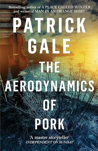 The Aerodynamics of Pork: A delicious debut novel of love, music and comedy, set in the early 1980s