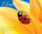 Closer to Nature 2014 Calendar