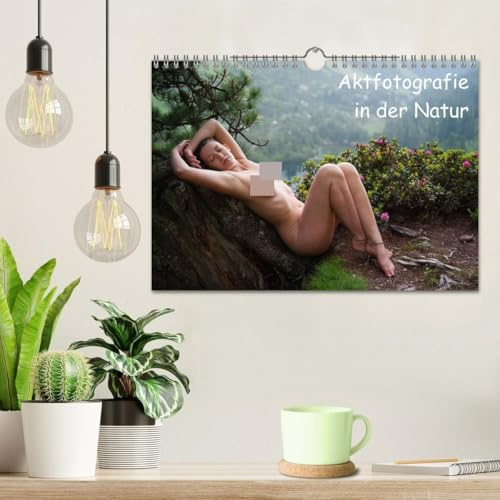 Aktfotografie in der Natur (Wandkalender 2026 DIN A4 quer), CALVENDO Monatskalender: Elegante Körper harmonieren mt der Natur. (CALVENDO Erotik)