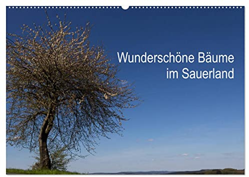 Wunderschöne Bäume im Sauerland (Wandkalender 2026 DIN A2 quer), CALVENDO Monatskalender: Beeindruckende Bäume in wundervoller Landschaft. (CALVENDO Natur)