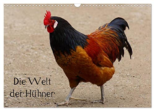 Die Welt der Hühner (Wandkalender 2024 DIN A3 quer), CALVENDO Monatskalender: Kunterbuntes Hühnervolk (CALVENDO Tiere)