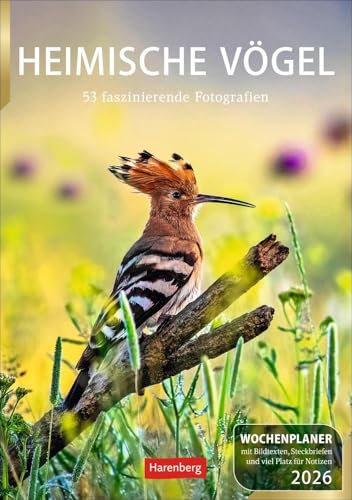 Heimische Vögel Wochenplaner 2026 - 53 faszinierende Fotografien: Wochenkalendarium, Infos zu den porträtierten Vogelarten und viel Platz für Termine ... 2026 zum Eintragen (Wochenplaner Harenberg)