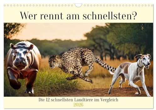 Wer rennt am schnellsten? (Wandkalender 2026 DIN A3 quer), CALVENDO Monatskalender: Die 12 schnellsten Landtiere im Vergleich (CALVENDO Tiere)
