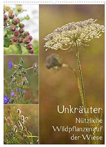 Unkräuter - Nützliche Wildpflanzen auf der Wiese (Wandkalender 2026 DIN A2 hoch), CALVENDO Monatskalender (CALVENDO Natur)