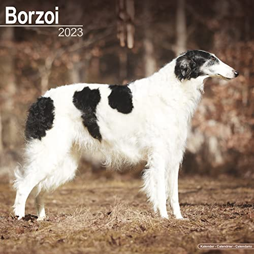 Borzoi – Russischer Wolfshund 2023: Original Avonside-Kalender [Mehrsprachig] [Kalender] (Wall-Kalender)