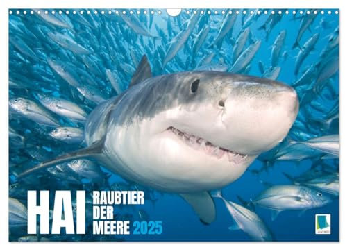 Hai: Raubtier der Meere (Wandkalender 2025 DIN A3 quer), CALVENDO Monatskalender: Haie: Der Fluch des Films Der weiße Hai (CALVENDO Tiere)