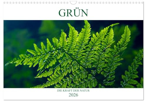 GRÜN Die Kraft der Natur (Wandkalender 2026 DIN A3 quer), CALVENDO Monatskalender: Farben wirken auf Körper und Seele. GRÜN lässt uns tief durch atmen. Energie tanken ! (CALVENDO Natur)