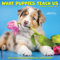 What Puppies Teach Us 2024 12 X 12 Wall Calendar