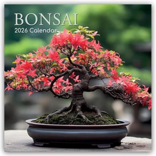 Bonsai – Bonsaibäume 2026 – 16-Monatskalender: Original Gifted Stationery-Kalender [Mehrsprachig] [Kalender] (Wall-Kalender)