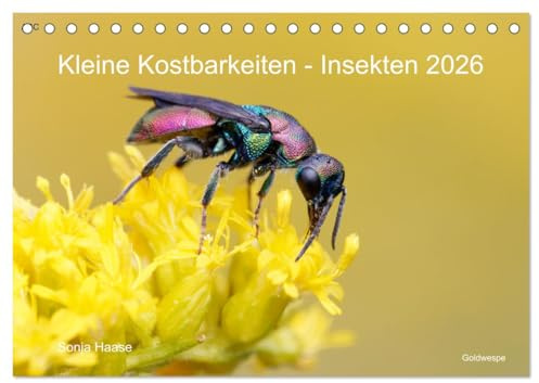 Kleine Kostbarkeiten Insekten (Tischkalender 2026 DIN A5 quer), CALVENDO Monatskalender (CALVENDO Tiere)