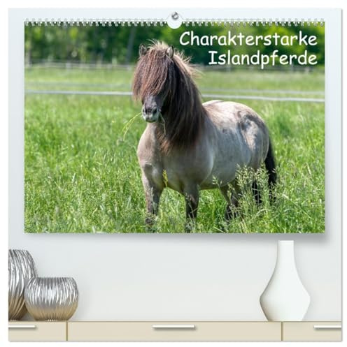 Charakterstarke Islandpferde (hochwertiger Premium Wandkalender 2026 DIN A2 quer), Kunstdruck in Hochglanz: Isländer begeistern durch ihre ... Pferdefreunde in ihren Bann. (CALVENDO Tiere)
