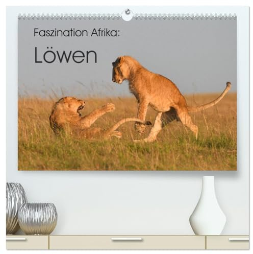 Faszination Afrika: Löwen (hochwertiger Premium Wandkalender 2026 DIN A2 quer), Kunstdruck in Hochglanz: Löwen, die größten Katzen Afrikas (CALVENDO Tiere)