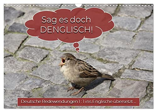 Sag es doch DENGLISCH (Wandkalender 2026 DIN A3 quer), CALVENDO Monatskalender: Deutsche Redewendungen 1 : 1 ins Englische übersetzt ... (CALVENDO Spass)