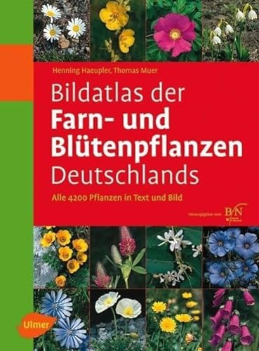 Bildatlas der Farn- und Blütenpflanzen Deutschlands: Alle 4200 Pflanzen in Text und Bild
