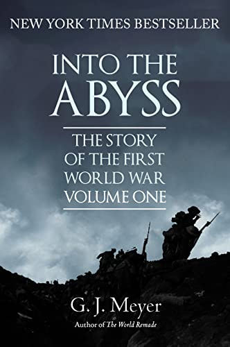 Into The Abyss: The Story of the First World War, Volume One