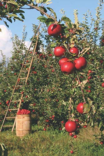 Apfelbaum Tagebuch: Notizbuch / Tagebuch mit Apfelbaum Motiv - 120 Seiten dotgrid (gepunktet)