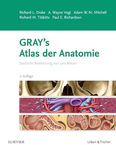 Gray's Atlas der Anatomie: Deutsche Bearbeitung von Lars Bräuer