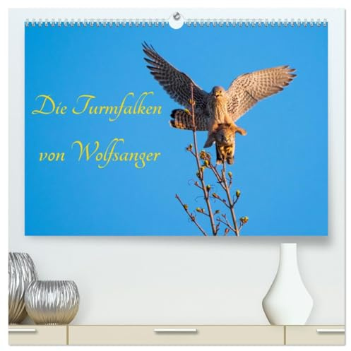 Die Turmfalken von Wolfsanger (hochwertiger Premium Wandkalender 2026 DIN A2 quer), Kunstdruck in Hochglanz: Faszinierende Momentaufnahmen aus dem Leben einer Turmfalkenfamilie (CALVENDO Tiere)