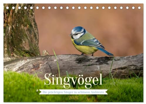 SINGVÖGEL - Die prächtigen Sänger in schönem Ambiente (Tischkalender 2026 DIN A5 quer), CALVENDO Monatskalender: Besonders schöne Aufnahmen unserer Sperlingsvögel. (CALVENDO Tiere)