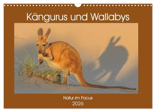 Kängururs und Wallabys (Wandkalender 2026 DIN A3 quer), CALVENDO Monatskalender: Das Känguru ist Nationalsymbol bzw. auch Wappentier von Australien ... australischen Kontinents. (CALVENDO Tiere)
