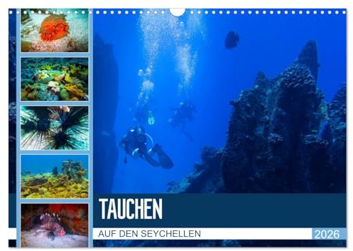 Tauchen auf den Sychellen (Wandkalender 2026 DIN A3 quer), CALVENDO Monatskalender: Faszination Unterwasserwelt (CALVENDO Orte)