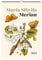 Maria Sibylla Merian. Wandkalender 2024: Bilder aus „Die wunderbare Verwandelung und sonderbare Blumen-nahrung“
