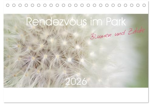 Rendezvous im Park (Tischkalender 2026 DIN A5 quer), CALVENDO Monatskalender: Momentaufnahmen versteckter Schönheit kleiner Natur-Oasen (CALVENDO Natur)