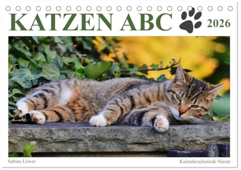 Katzen ABC (Tischkalender 2026 DIN A5 quer), CALVENDO Monatskalender: Katzenwissen humorvoll aufbereitet (CALVENDO Tiere)