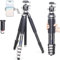 INNOREL Carbon Fiber Travel Tripod GT255CF Professional Compact Camera Tripod Stand for DSLR Camera with Low Gravity Center Ballhead,Special-Shaped Center Column 1in/25.6mm Tube Max Load 33lbs/15kg