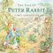 The Tale of Peter Rabbit: Reading Railroad