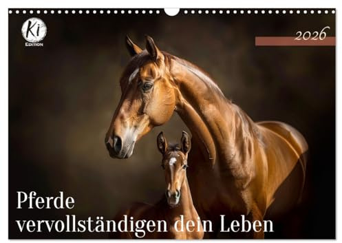 Pferde vervollständigen dein Leben (Wandkalender 2026 DIN A3 quer), CALVENDO Monatskalender: Kluge Worte, betörende Bilder für Pferdeliebhaber und Reiter (CALVENDO Tiere)