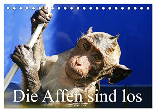 Die Affen sind los (Tischkalender 2026 DIN A5 quer), CALVENDO Monatskalender: Aufnahmen in Thailand und Borneo gemacht (CALVENDO Tiere)