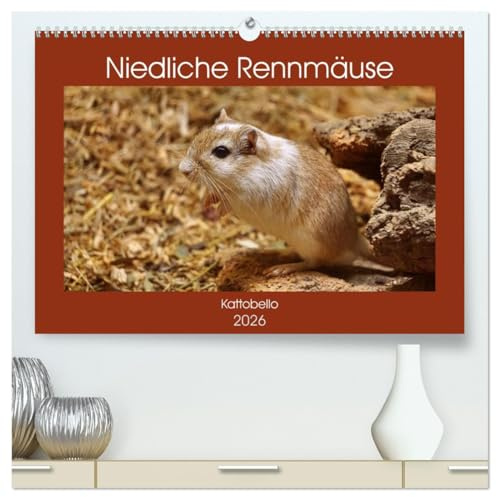 Niedliche Rennmäuse (hochwertiger Premium Wandkalender 2026 DIN A2 quer), Kunstdruck in Hochglanz: Possierliche Heimtiere (CALVENDO Tiere)
