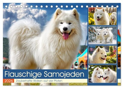 Flauschige Samojeden. Zauberhafte Wolken auf vier Pfoten (Tischkalender 2026 DIN A5 quer), CALVENDO Monatskalender: Die lebensfrohe Eleganz der ... in stimmungsvollen Momenten (CALVENDO Tiere)
