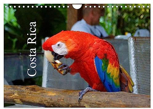 Costa Rica (Wandkalender 2026 DIN A4 quer), CALVENDO Monatskalender: Unbeschreibliche Landschaften von Costa Rica. (CALVENDO Natur)