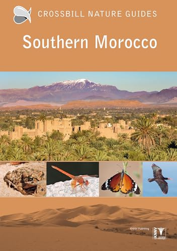 Pitt:Southern Morocco