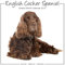 English Cocker Spaniel 2012 Calendar #30461-12