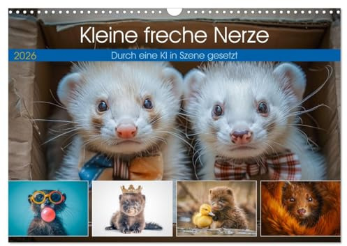 Kleine freche Nerze (Wandkalender 2026 DIN A3 quer), CALVENDO Monatskalender: Niedliche Wirbelwinde mit flinken Pfoten und frechem Charme, die stets für Überraschungen gut sind. (CALVENDO Tiere)