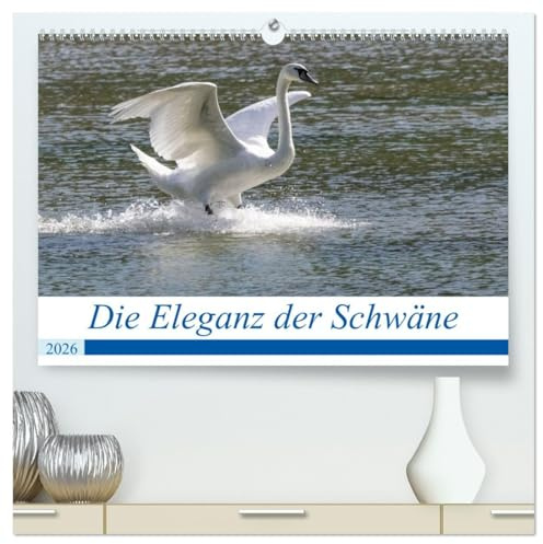 Die Eleganz der Schwäne (hochwertiger Premium Wandkalender 2026 DIN A2 quer), Kunstdruck in Hochglanz: Schwäne, elegante und beeindruckende Entenvögel. (CALVENDO Tiere)