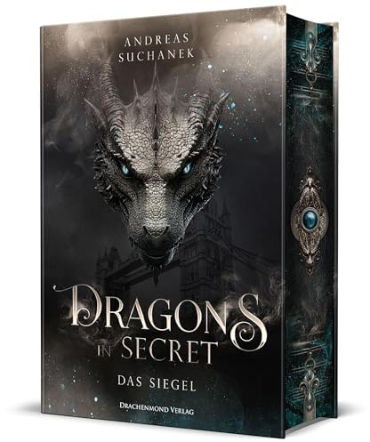 Dragons in Secret - Das Siegel: Packende Urban-Fantasy mit Drachendynastien, Hexen und Familiengeheimnissen| Schmuckausgabe mit Farbschnitt-Garantie