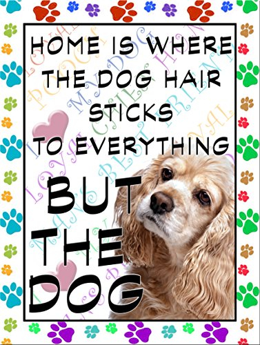 American Cocker Spaniel Fridge Magnet 100mm x 75mm HOME IS WHERE THE DOG HAIR STICKS TO EVERYTHING BUT THE DOG