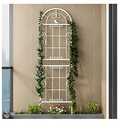 NOIRDA Rankgitter Metall Spalier, 185 cm 210 cm 230 cm Hoher, Rankhilfe Garten, Kletterhilfe Für Pflanzen, Rosen, Clematis, Für Drinnen Und Draußen(White,230cm/90.5in)