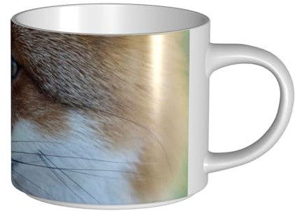 GSGCSBYMLG Tasses à café en céramique de grande capacité Motif renard