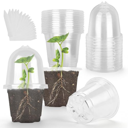 Riisoyu 20 Piezas Macetas Transparentes para Vivero, Macetas de Plástico con Orificio macetas para Plantas con Domo de Humedad con Etiquetas para Semillas, Plantas Flores Plantas Plántulas Trasplante