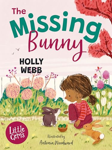 The Missing Bunny: An adorable illustrated first chapter book from bestselling author Holly Webb, perfect for animal lovers! (Little Gems)