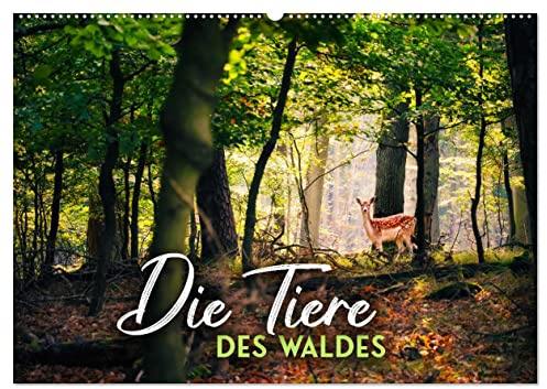 Die Tiere des Waldes (Wandkalender 2026 DIN A2 quer), CALVENDO Monatskalender: Ein Ausflug in die Märchenwälder dieser Welt. (CALVENDO Tiere)