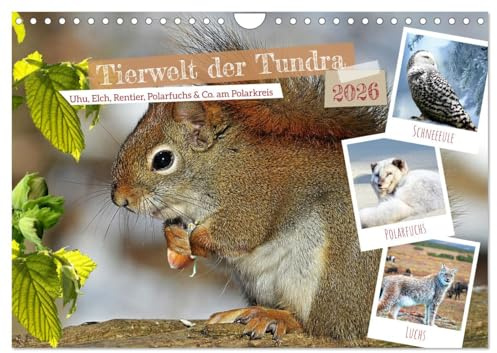 Tierwelt der Tundra (Wandkalender 2026 DIN A4 quer), CALVENDO Monatskalender: Uhu, Elch, Rentier, Polarfuchs und Co. am Polarkreis (CALVENDO Tiere)